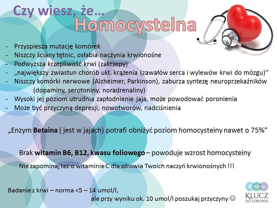 homocysteina - działanie szkodliwe